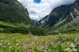 Valley of Flowers Trek